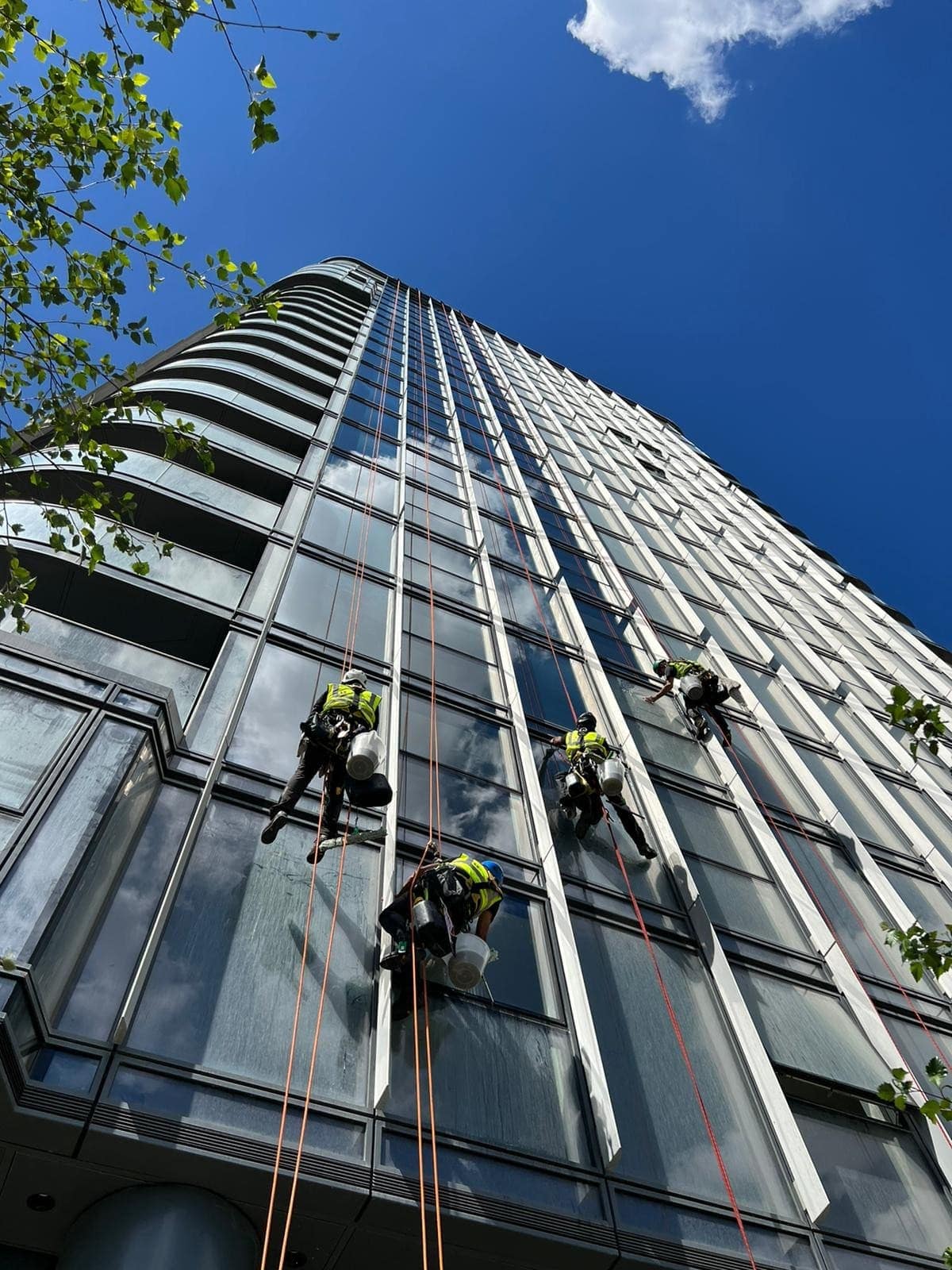 Three BOVI Access technicians descending the glazed facade of a high-rise tower on ropes