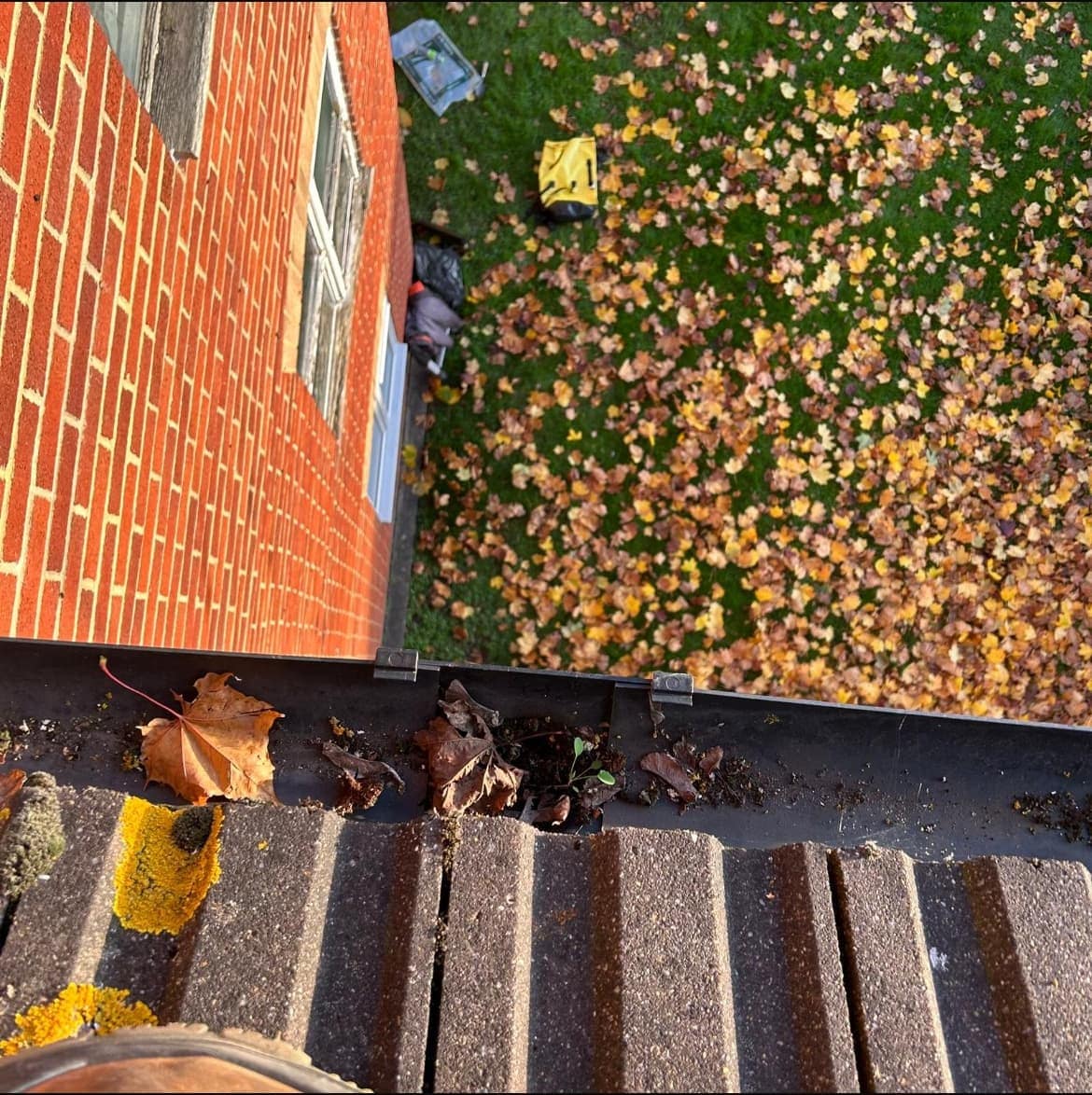 A roof gutter filled with fallen leaves alongside orange brickwork